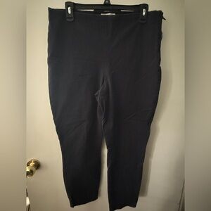 Everlane Women's Navy Pants